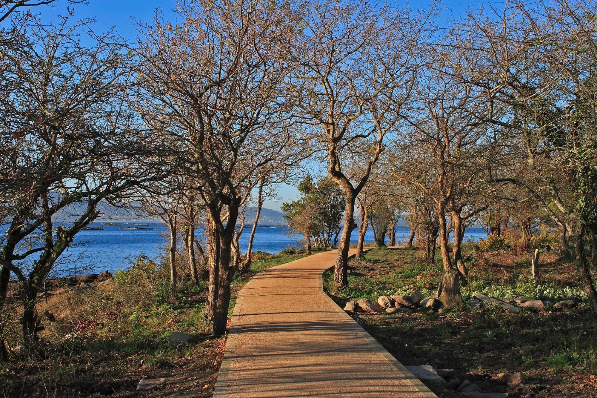 Villa Covelo Poio Dış mekan fotoğraf